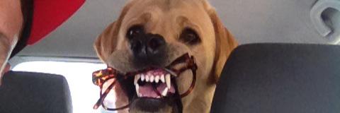 josh_hannaway's profile banner image