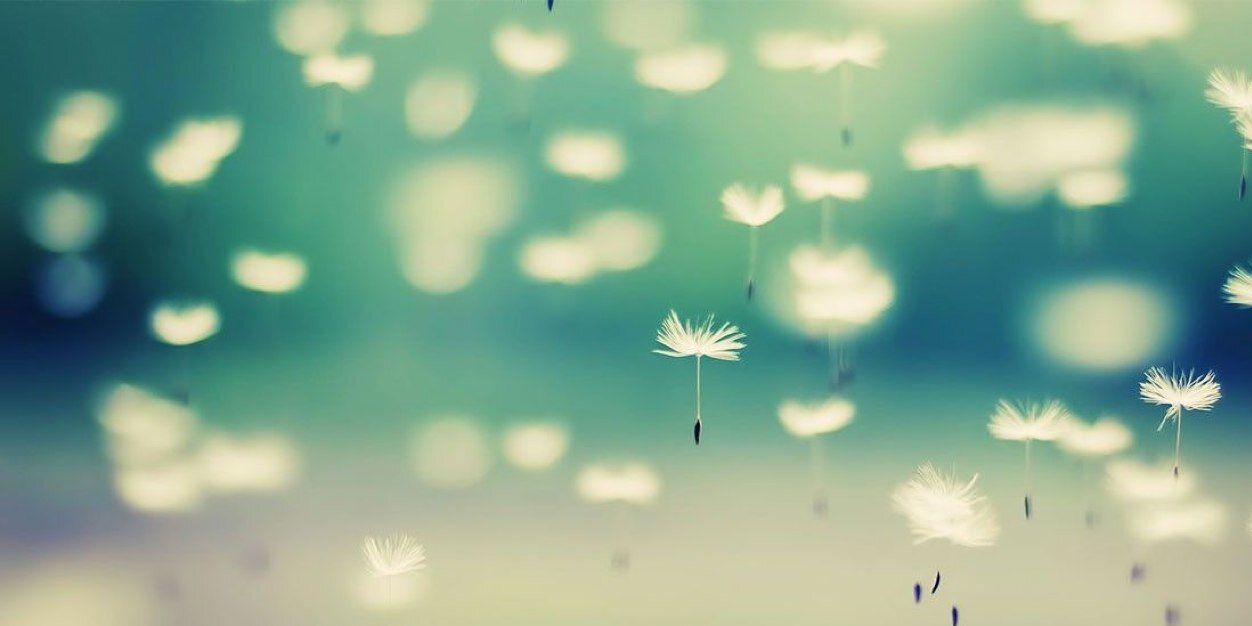 danieeelleee's profile banner image