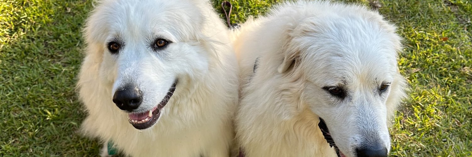 Sammy_Smitth's profile banner image