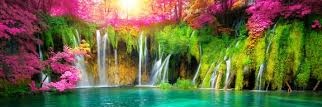 Sweet_Auroras's profile banner image