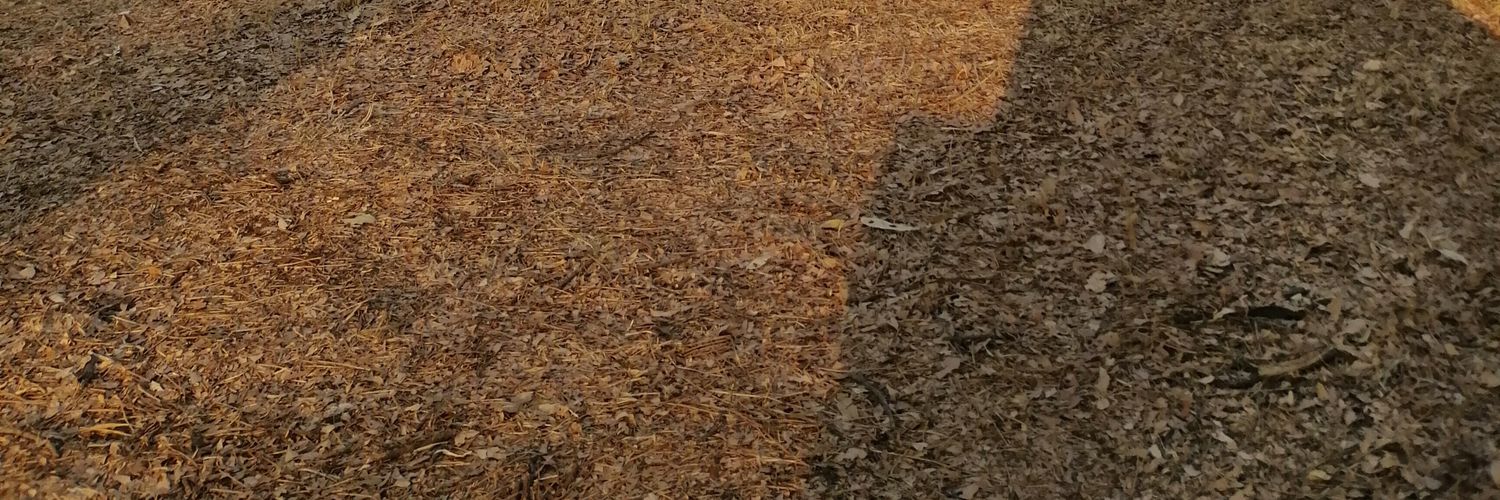 ceemban's profile banner image