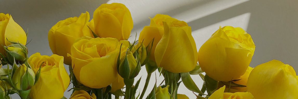 samar_massad's profile banner image