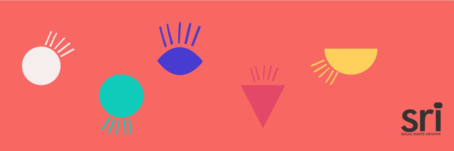 Sexual Rights Initiative's banner