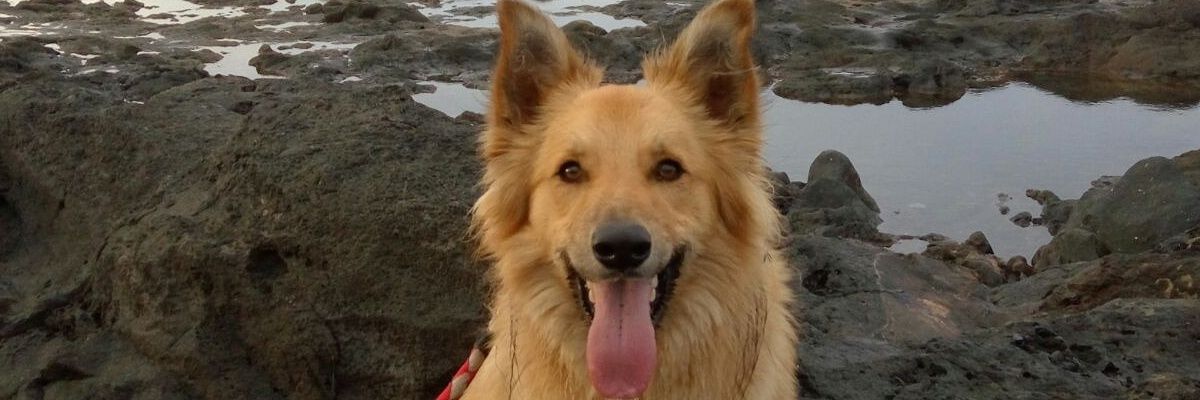 Almu_MA's profile banner image