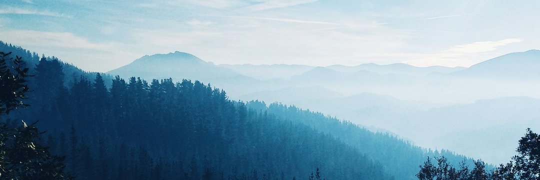 BOT_Pini's profile banner image