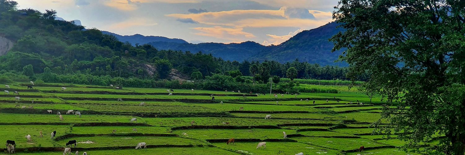 pradeepk209's profile banner image