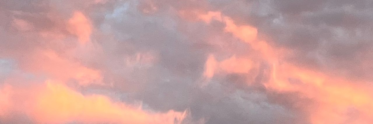 Hakubi_Chuo's profile banner image