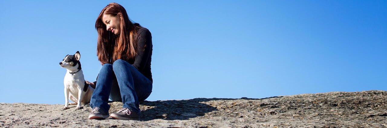 Carolyn Defoore banner