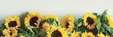 june_pas's profile banner image