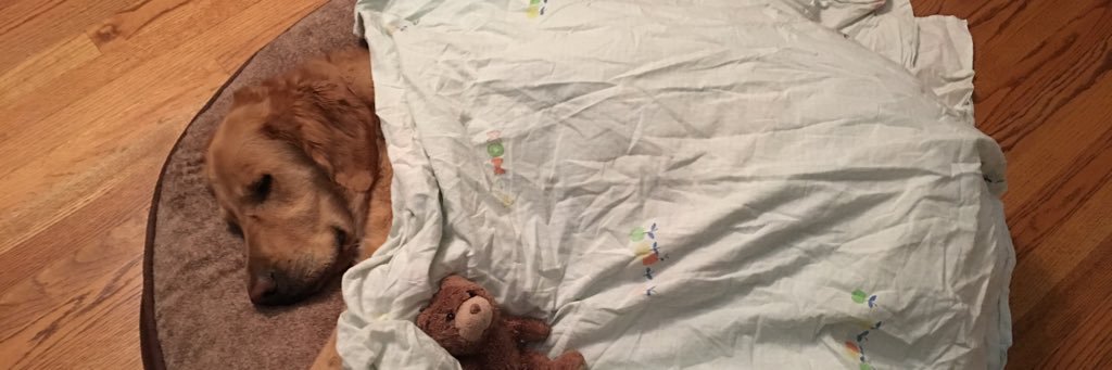bobby_shi's profile banner image