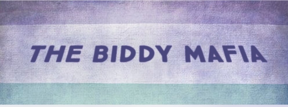 Barb'sWire 🇨🇦 💜❄️🌲 banner