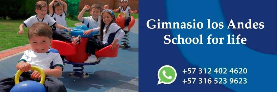 Gimandes's profile banner image