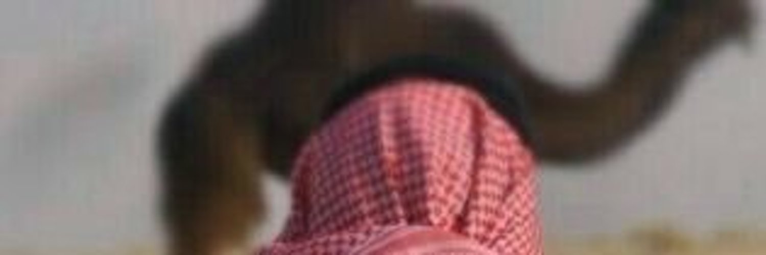 Smi_11's profile banner image