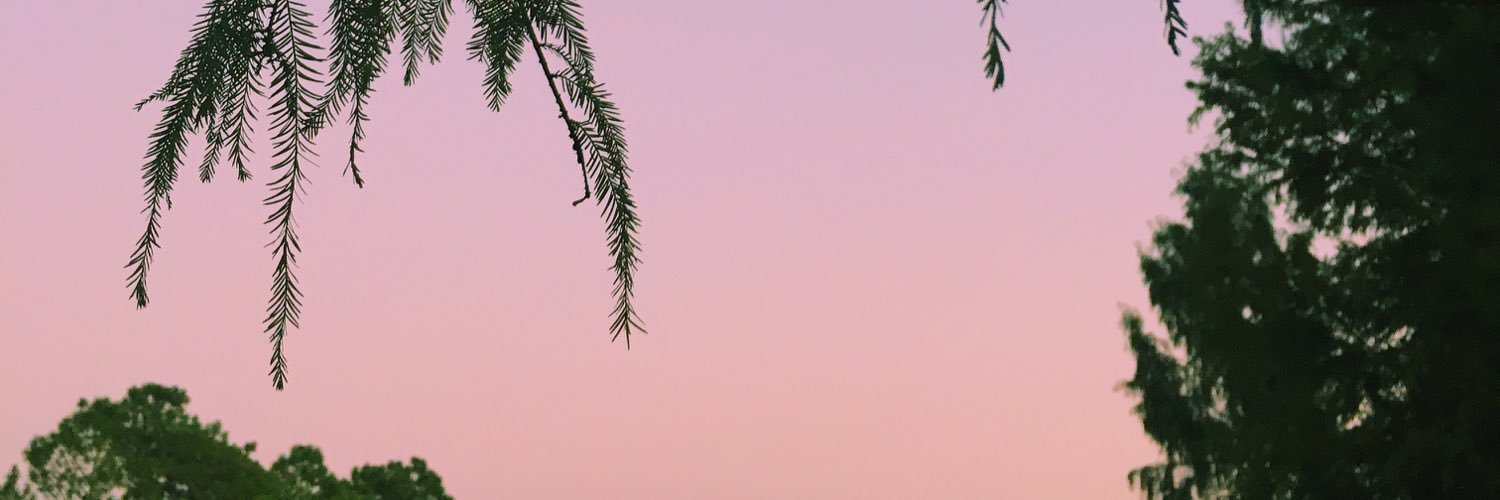 GYPSYCAAAT's profile banner image