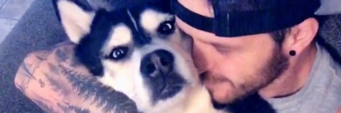ChelsssRose's profile banner image