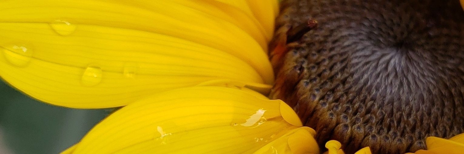 MelGetCloser's profile banner image