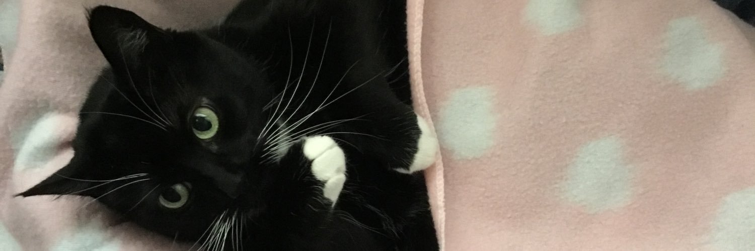 Patriot Lioness banner