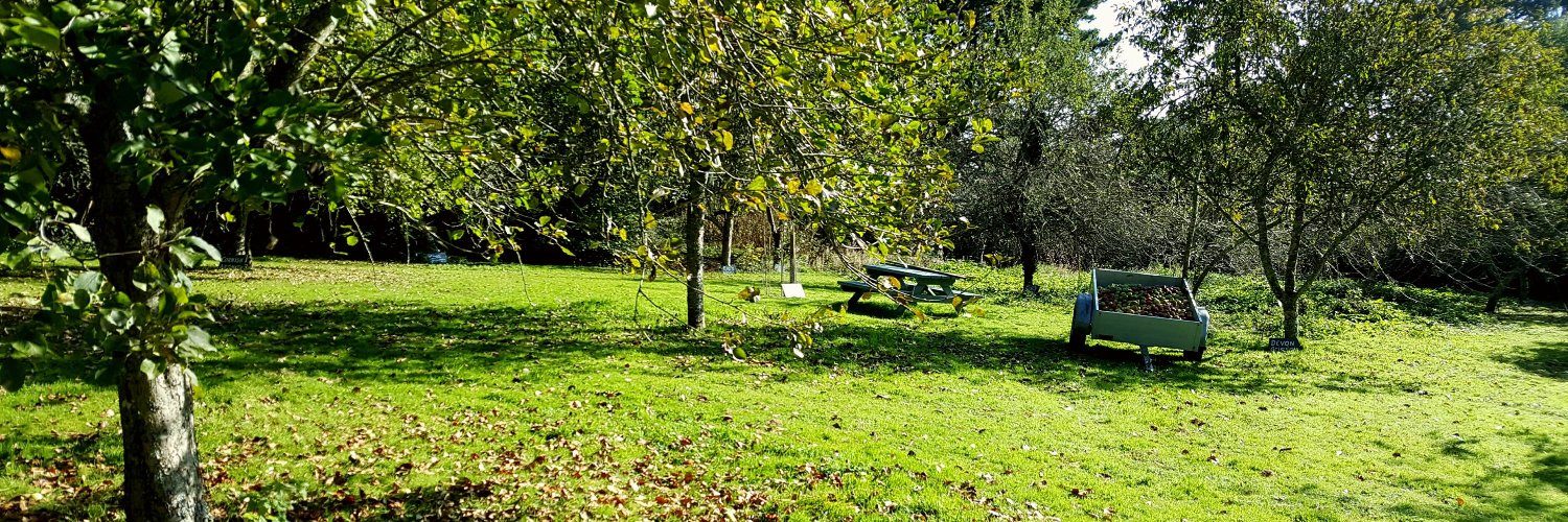 stivescider's profile banner image