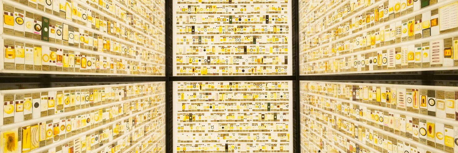 Wolfson Foundation's banner