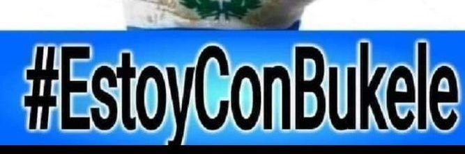 𝔹𝕖𝕝𝕝𝕒𝕕𝕦𝕒𝕣𝕕 💜 banner
