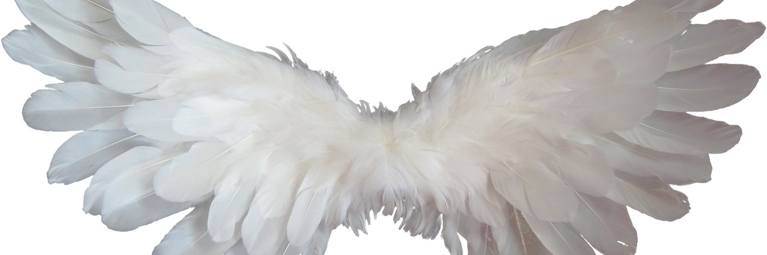 Kelly53213653's profile banner image