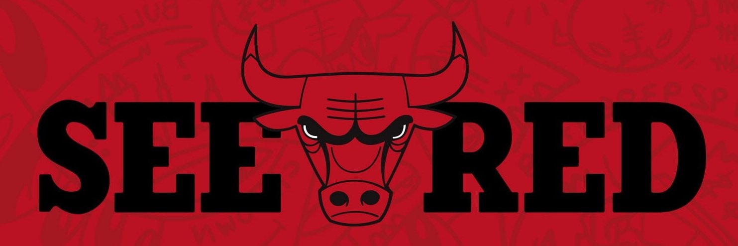 TheChicagoNinja's profile banner image