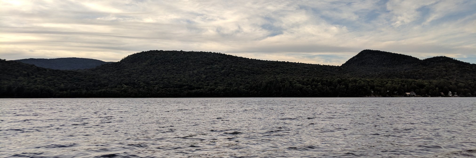 Steve banner