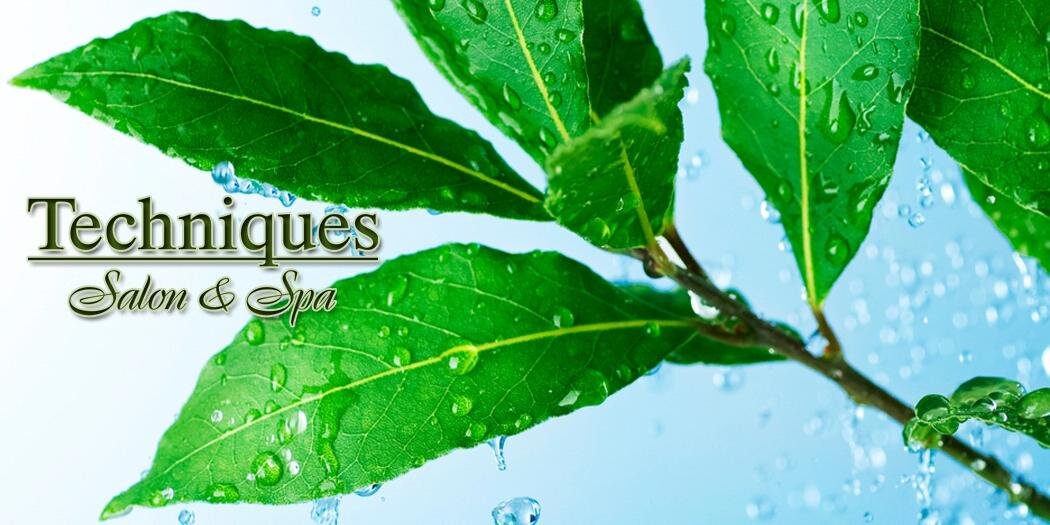 Techniques SalonSpa banner