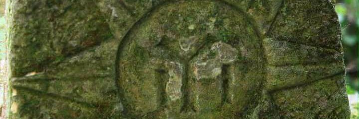 soran_adam's profile banner image
