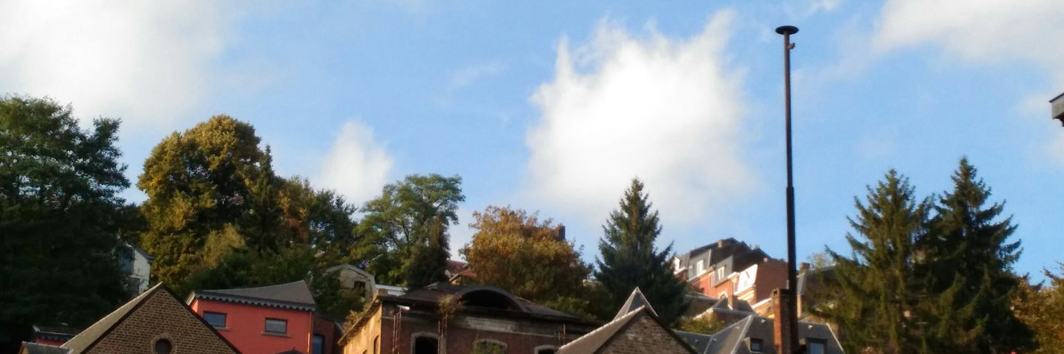 Jo_Cavrois's profile banner image
