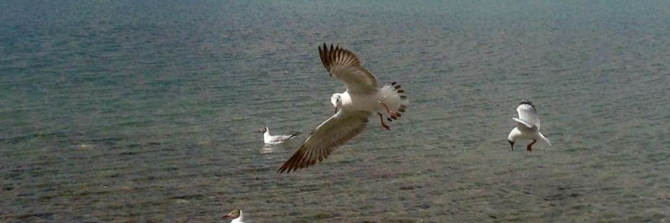 rahul_rawat's profile banner image