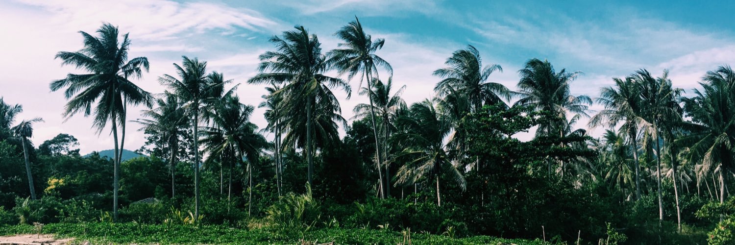 caitskidz's profile banner image
