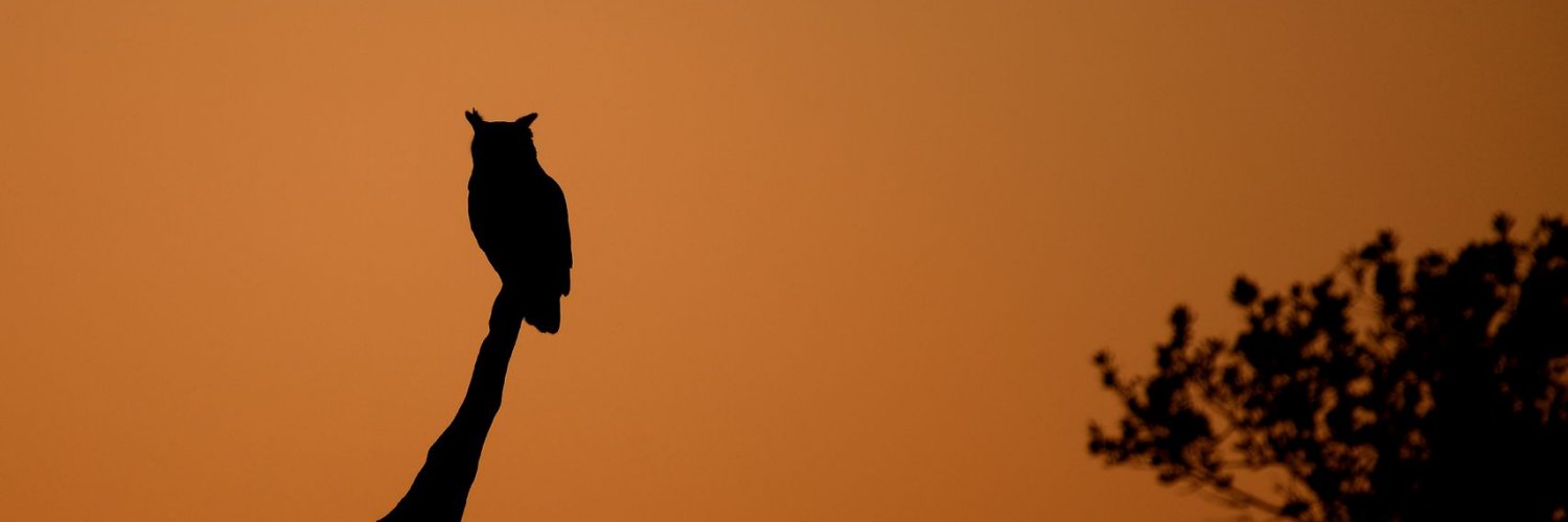 RLSmithey's profile banner image