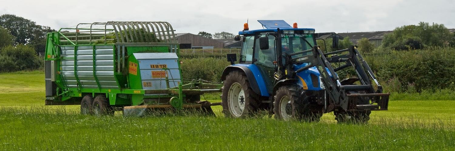 GreenForage's profile banner image