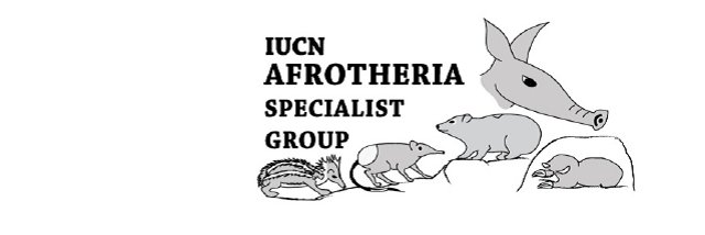 Tweeting_Tenrec's profile banner image