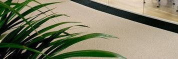 smartec's profile banner image