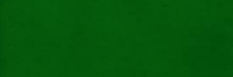 SearchDigi's profile banner image
