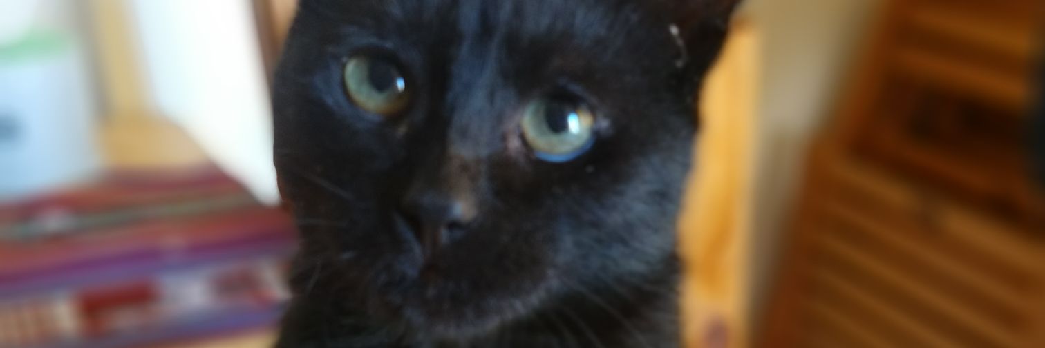 LukeL14's profile banner image