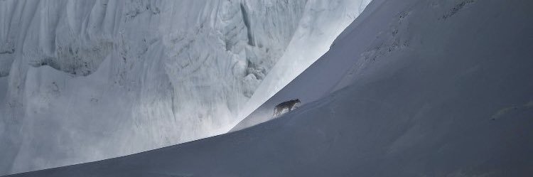 Atticuskh's profile banner image
