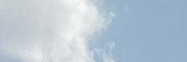 19liina's profile banner image