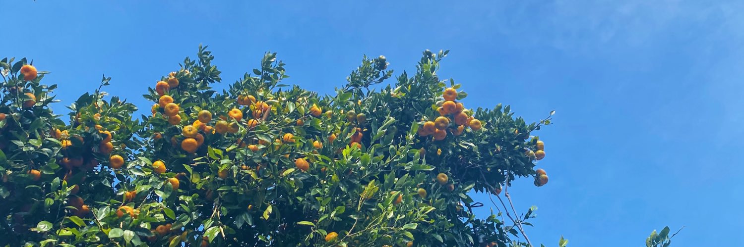 AbbyMenchaca's profile banner image
