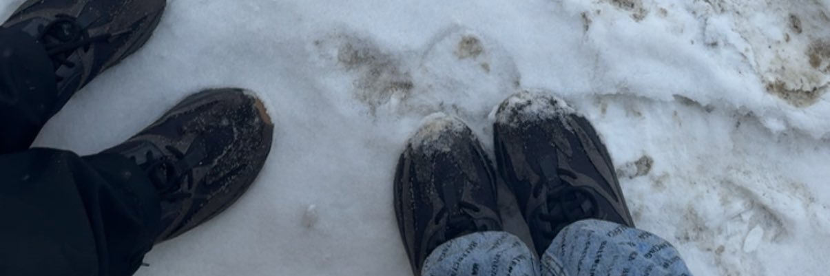 malsharif94's profile banner image