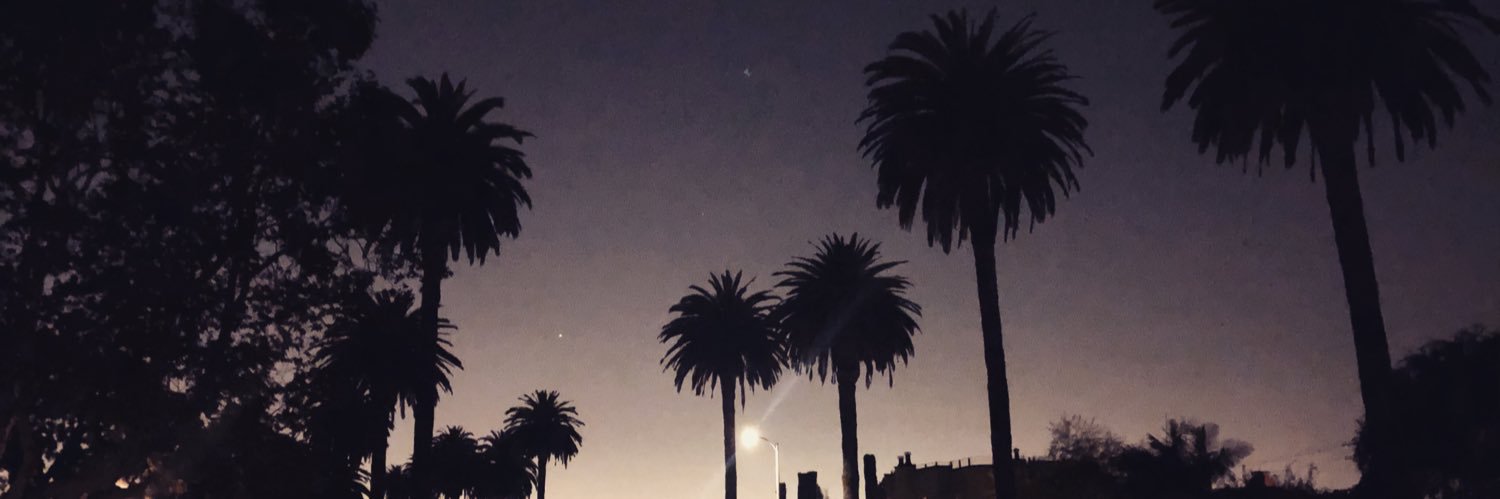 Raseljka's profile banner image