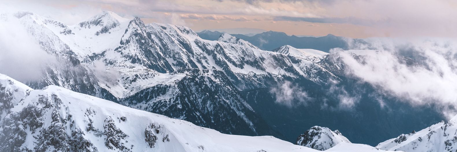 Giuseppe Vecchio banner