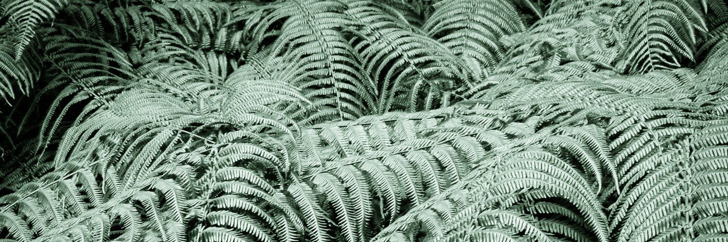 jonathan.py 🫘🍵 banner