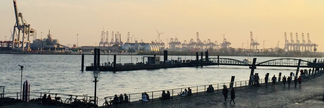 Polke-Majewski banner