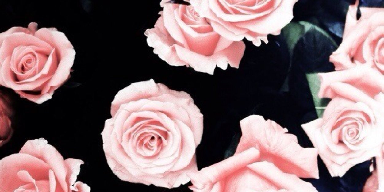 Cestlamort_'s profile banner image