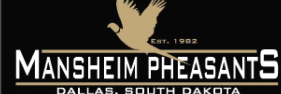 KMansheim's profile banner image
