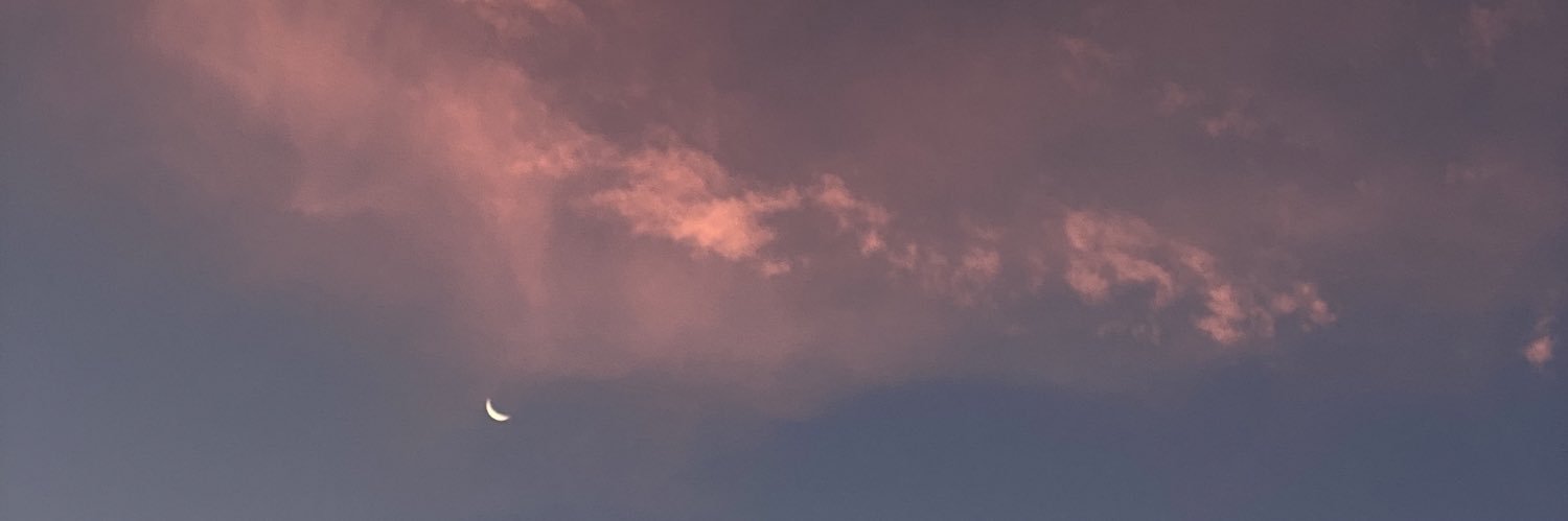 lbirmingham_'s profile banner image