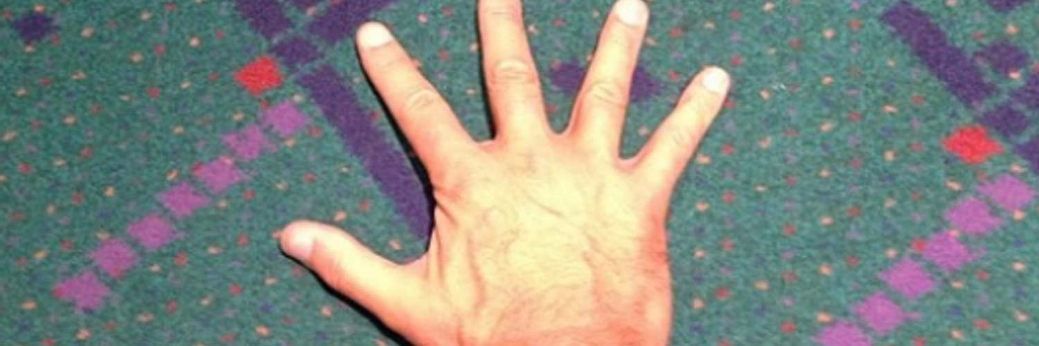pdxcarpet's profile banner image